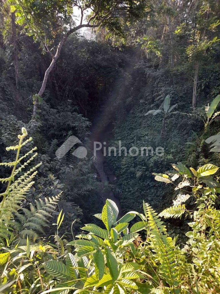 Dijual Tanah Komersial Sangat Cocok Untuk Investasi Dekat Tempat Wisata di Ubud - Gambar 2