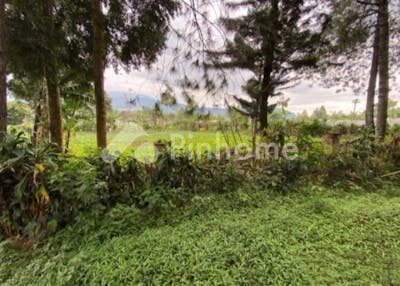 dijual tanah komersial lingkungan asri  nyaman di jl  boscha lembang - 3