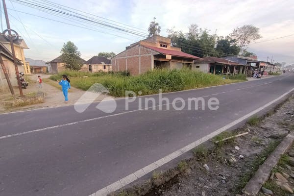 dijual tanah komersial lokasi bagus di jalan lasi - 2