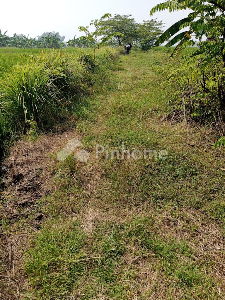 Dijual Tanah Komersial Lokasi Strategis Dekat Perumahan di Pungging - Gambar 2