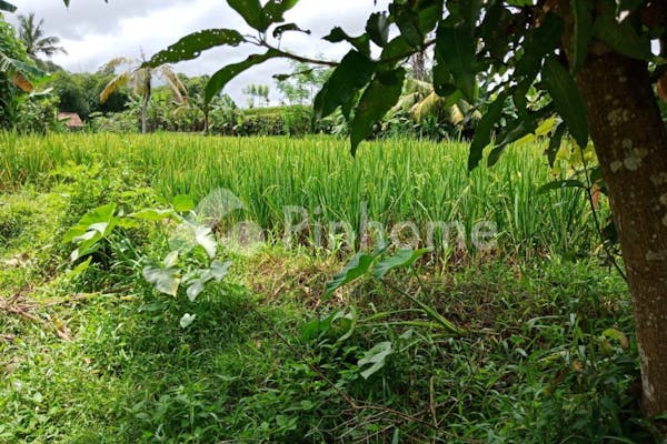 dijual tanah residensial sawah ngering di ngering