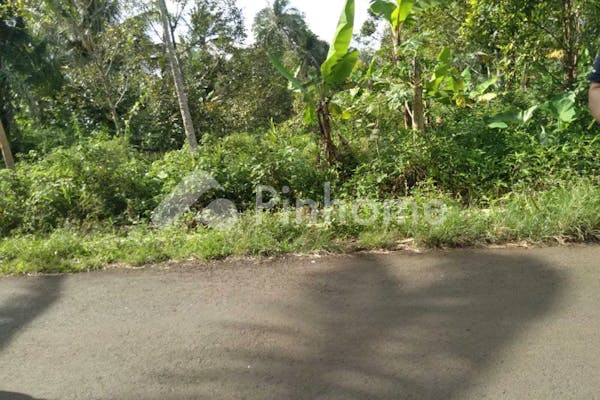 dijual tanah komersial lokasi bagus dekat untirta di jl  kadeula pandeglang - 3