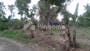 Dijual Tanah Komersial Lokasi Strategis Dekat Desa Wisata Hanjeli di Villa Gunung Buring - Thumbnail 1