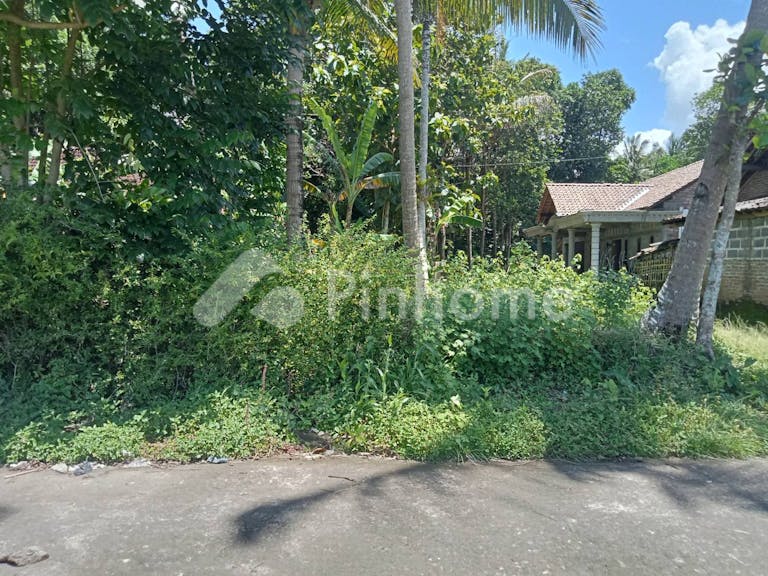 Dijual Tanah Residensial Galur Kulon Progo di Nomporejo - Gambar 4