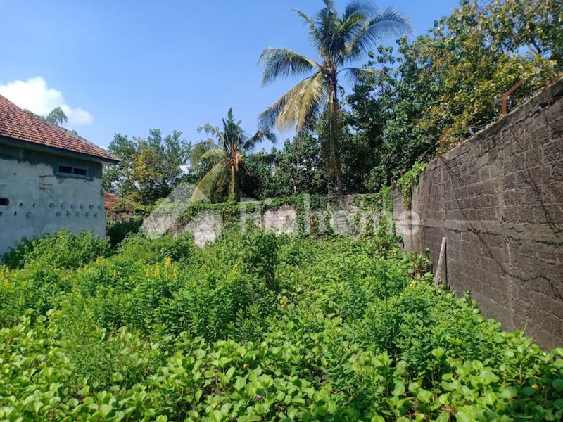 dijual rumah super strategis di buleleng - 2