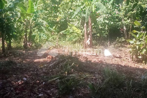 dijual tanah komersial kebun di kertarahayu