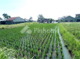 Dijual Tanah Komersial Cocok Untuk Investasi di Jl. Provinsi Cianjur - Bandung, Kab. Cianjur - Gambar 2