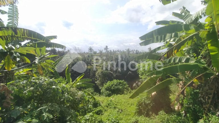 Dijual Tanah Komersial Harga Terjangkau di Ketewel, Kec. Sukawati, Kabupaten Gianyar, Bali - Gambar 5