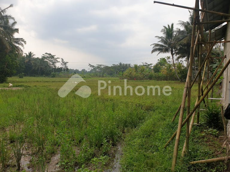 Dijual Tanah Komersial Lokasi Strategis di Rangkas, Banten - Gambar 3