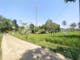 Dijual Tanah Residensial Cocok Untuk Investasi di Jl. K. H. Achmad Munawar, Kab. Cianjur - Thumbnail 4
