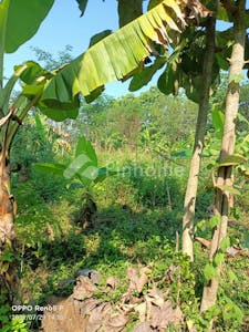 Dijual Tanah Residensial Lokasi Bagus Dekat Waduk di Bukit Manyaran Permai - Gambar 1
