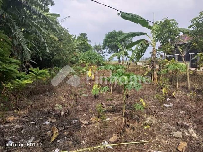 dijual tanah residensial lokasi strategis dekat tol di kertamukti  kerta mukti - 4