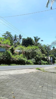 dijual tanah residensial 480m2 akses jalan mobil di sayan ubud - 1