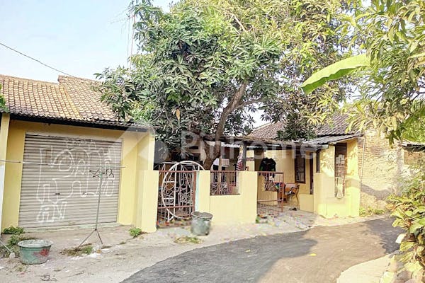 dijual rumah murah gak beli nyesel di jalan warung jaud samping smpn 5 kota serang - 1