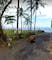Dijual Tanah Komersial Harga Terbaik Dekat Pantai di Jalan Pantai Saba Gianyar - Thumbnail 6