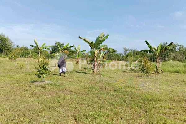 dijual tanah residensial kebun durian unggulan di kebun durian di desa sukatani batu itam - 30