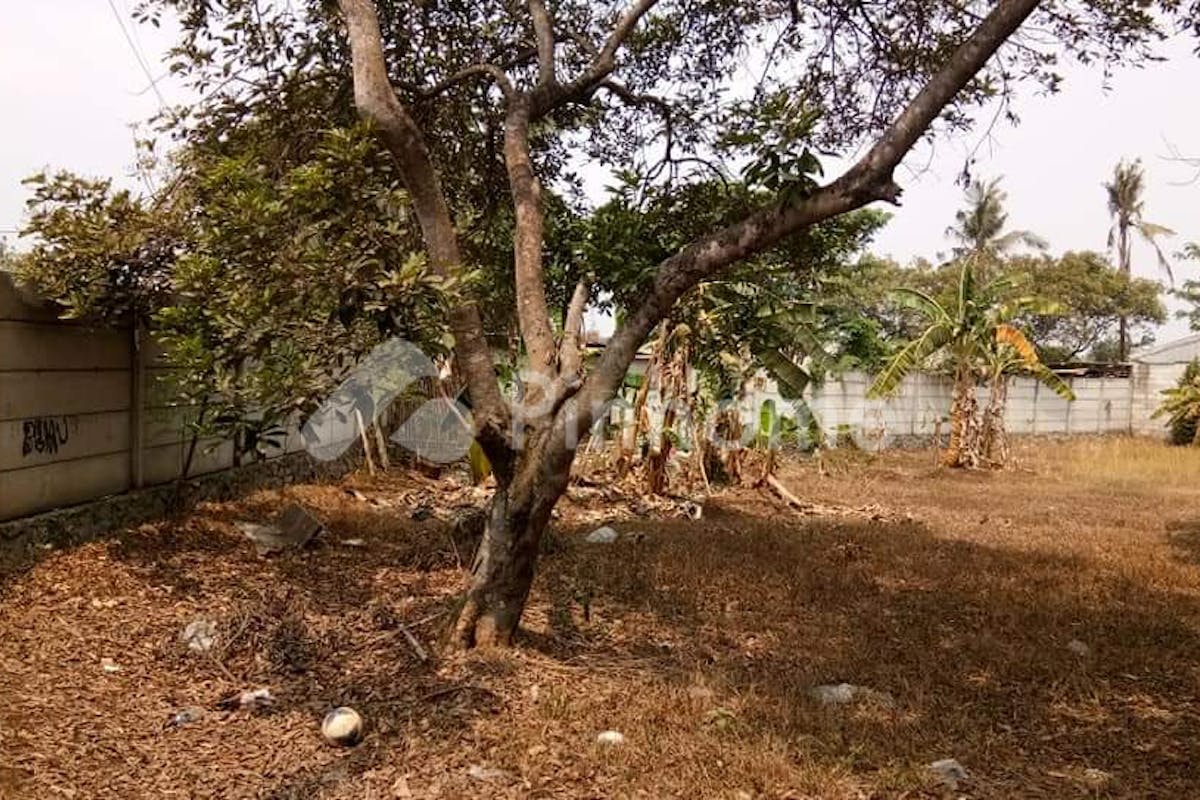 similar property dijual tanah residensial dekat area komersil bebas banjir di mustikasari  mustika sari - 6