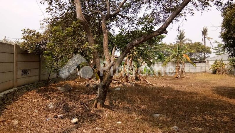 dijual tanah residensial dekat area komersil bebas banjir di mustikasari  mustika sari - 6