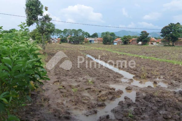 dijual tanah residensial lokasi bagus dekat telu di cikoneng - 4