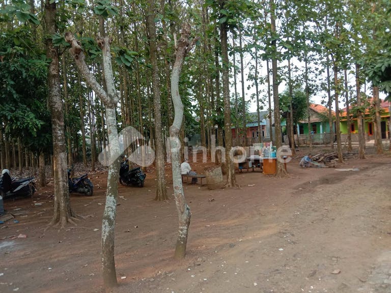 Dijual Tanah Residensial Berisi Pohon Jati Cocok Untuk Investasi di Puri Bukt Depok - Gambar 4